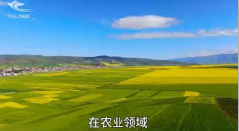 白银干冰气肥